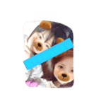 あやちゃん姫ちゃん（個別スタンプ：3）