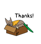 What is Tammy doing？-1（個別スタンプ：8）