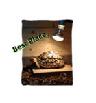 Leopard tortoises（個別スタンプ：6）