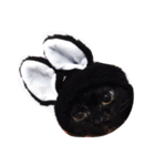 Bear's home（個別スタンプ：4）
