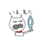 おっきい にゃんこ（個別スタンプ：6）