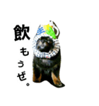 pomrenkon（個別スタンプ：6）