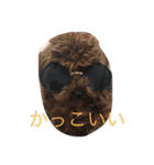 日常で使いそうなココアスタンプ（個別スタンプ：4）