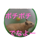 はむとねこ（個別スタンプ：9）