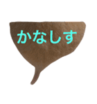 はむとねこ（個別スタンプ：14）