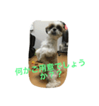 ぐうたら兄弟（個別スタンプ：4）