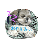 ぐうたら兄弟（個別スタンプ：6）