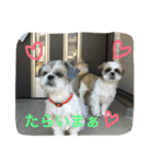 ぐうたら兄弟（個別スタンプ：12）
