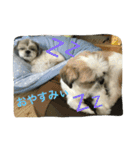 ぐうたら兄弟（個別スタンプ：13）
