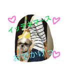 ぐうたら兄弟（個別スタンプ：16）