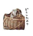 ねこねこ24（個別スタンプ：9）