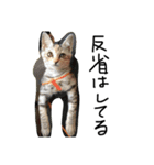 ねこねこ24（個別スタンプ：23）