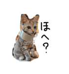 ねこねこ24（個別スタンプ：24）