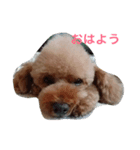 バリバリ（個別スタンプ：1）