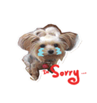 DU-DU（個別スタンプ：3）