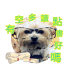 DU-DU（個別スタンプ：7）