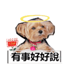 DU-DU（個別スタンプ：8）