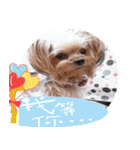 DU-DU（個別スタンプ：13）