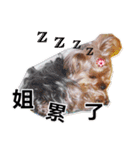 DU-DU（個別スタンプ：17）
