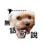 DU-DU（個別スタンプ：18）