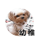 DU-DU（個別スタンプ：20）