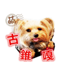 DU-DU（個別スタンプ：22）