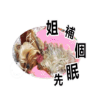 DU-DU（個別スタンプ：23）