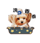 DU-DU（個別スタンプ：31）