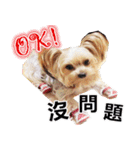DU-DU（個別スタンプ：39）