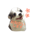 世界で一番かわいい（個別スタンプ：2）