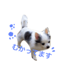 世界で一番かわいい（個別スタンプ：6）