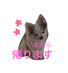 世界で一番かわいい（個別スタンプ：7）