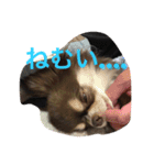くららとさくら（個別スタンプ：1）