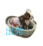 くららとさくら（個別スタンプ：8）