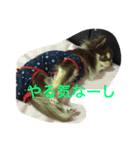 くららとさくら（個別スタンプ：11）