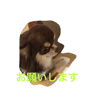 くららとさくら（個別スタンプ：13）
