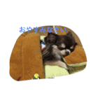 くららとさくら（個別スタンプ：14）