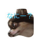 くららとさくら（個別スタンプ：16）