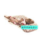 tiaraの日常（個別スタンプ：2）