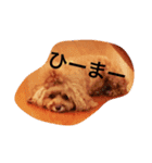 tiaraの日常（個別スタンプ：3）