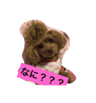 tiaraの日常（個別スタンプ：7）