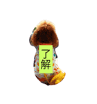 tiaraの日常（個別スタンプ：8）