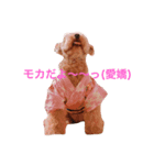 愛犬モカの気持ち（個別スタンプ：5）