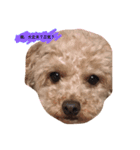 愛犬モカの気持ち（個別スタンプ：8）