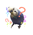 ハッピーのいろんな顔2（個別スタンプ：3）