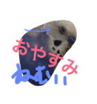 ハッピーのいろんな顔2（個別スタンプ：4）
