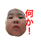 くぬぎお兄弟（個別スタンプ：14）