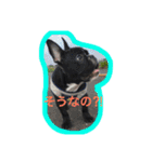 フレンチブルドッグ もなか。しうば。（個別スタンプ：32）