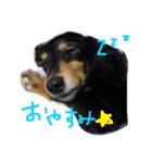 pino is friends 2（個別スタンプ：2）