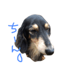 pino is friends 2（個別スタンプ：8）